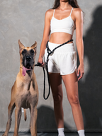 Running Hands-Free Dog Leash