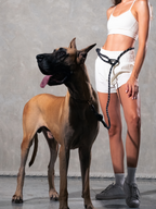 Running Hands-Free Dog Leash
