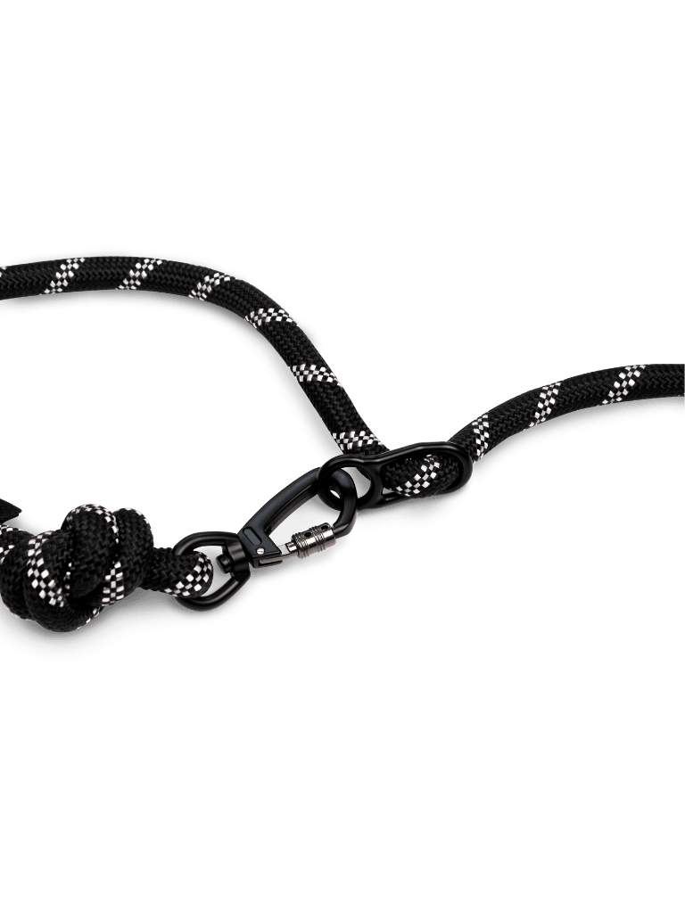 Running Hands-Free Dog Leash