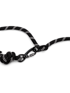 Running Hands-Free Dog Leash